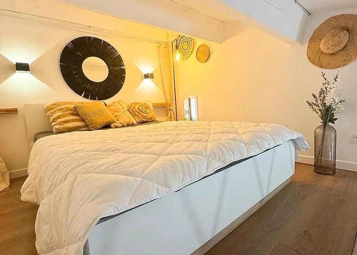 Apartamento Parfum Terrasse Clim Parking Privé Agde